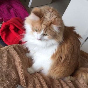 Meet your Posher, Charity